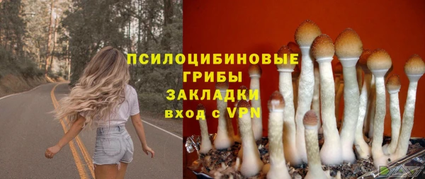 прущие крисы Козельск