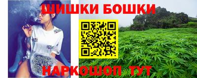 гидра Гай