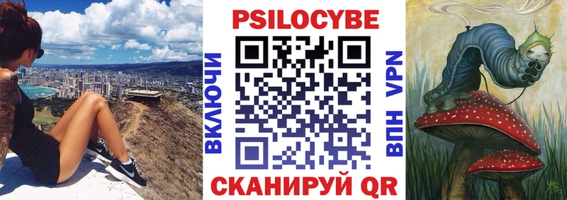 где найти наркотики  Муром  Псилоцибиновые грибы Psilocybine cubensis 
