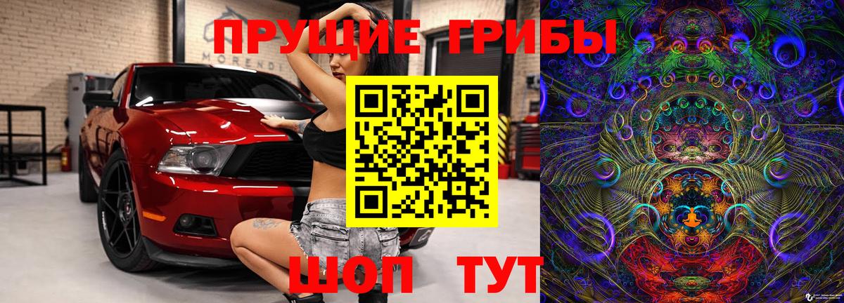 Муром  Галлюциногенные грибы Cubensis  Вход с VPN 