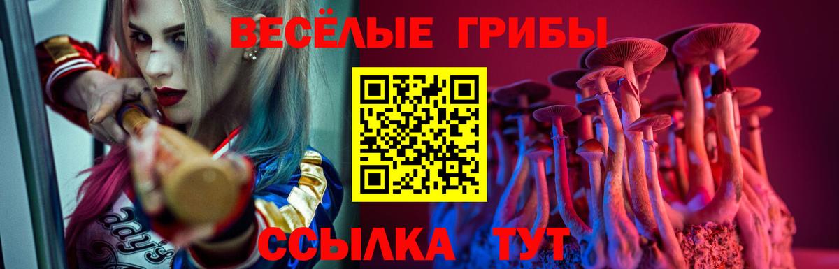 Галлюциногенные грибы мухоморы  Муром  Псилоцибиновые грибы ЛСД 