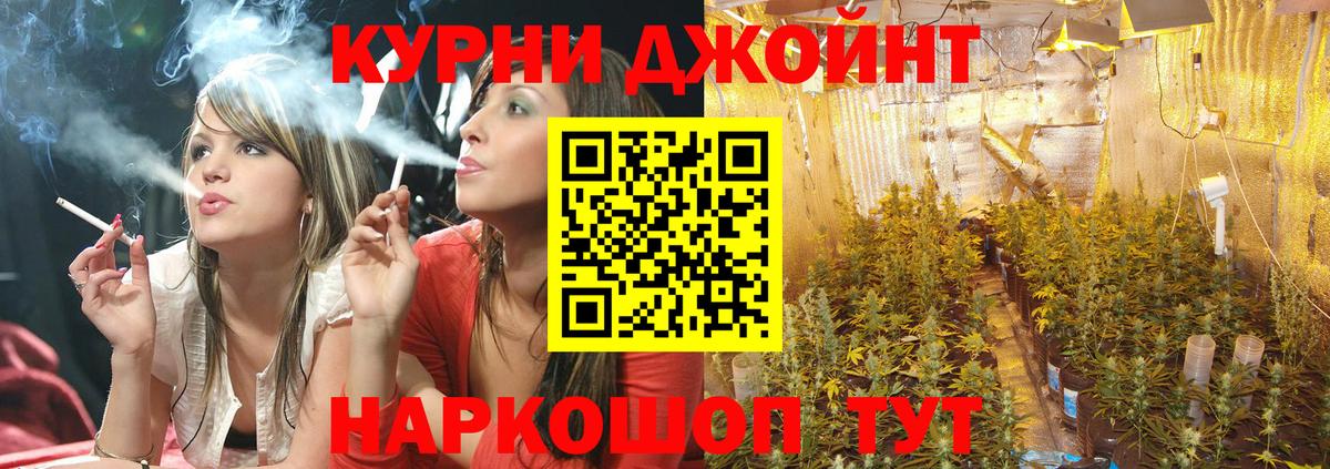 Каннабис SATIVA & INDICA Муром